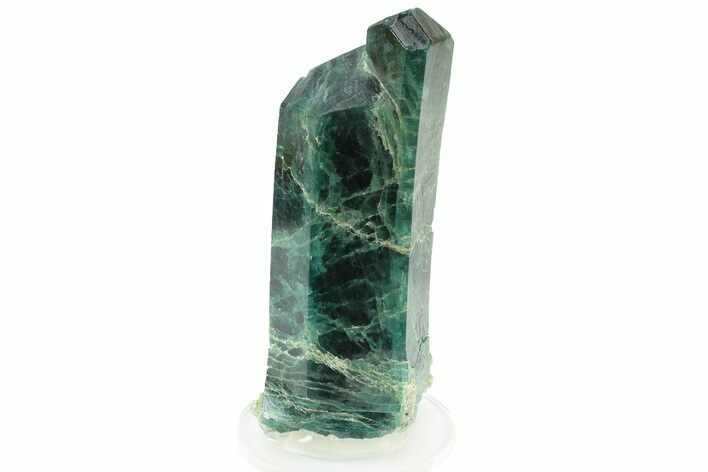 Lustrous, Blue-Green Fluorapatite Crystal - New Find! #243399